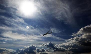 Gliding © Etienne Pierart